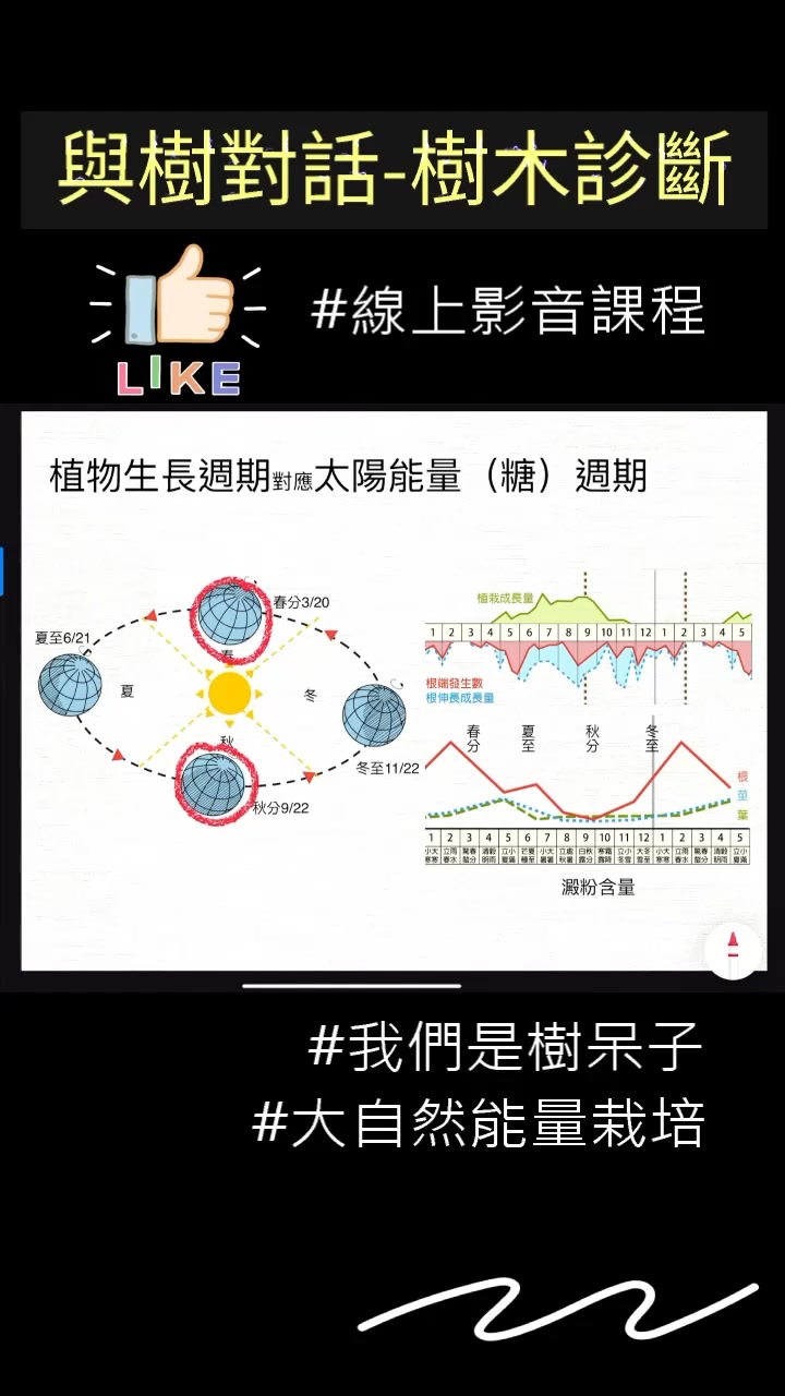 深入學習#各種不同芽體的形成原因 | 樹呆子 | Facebook