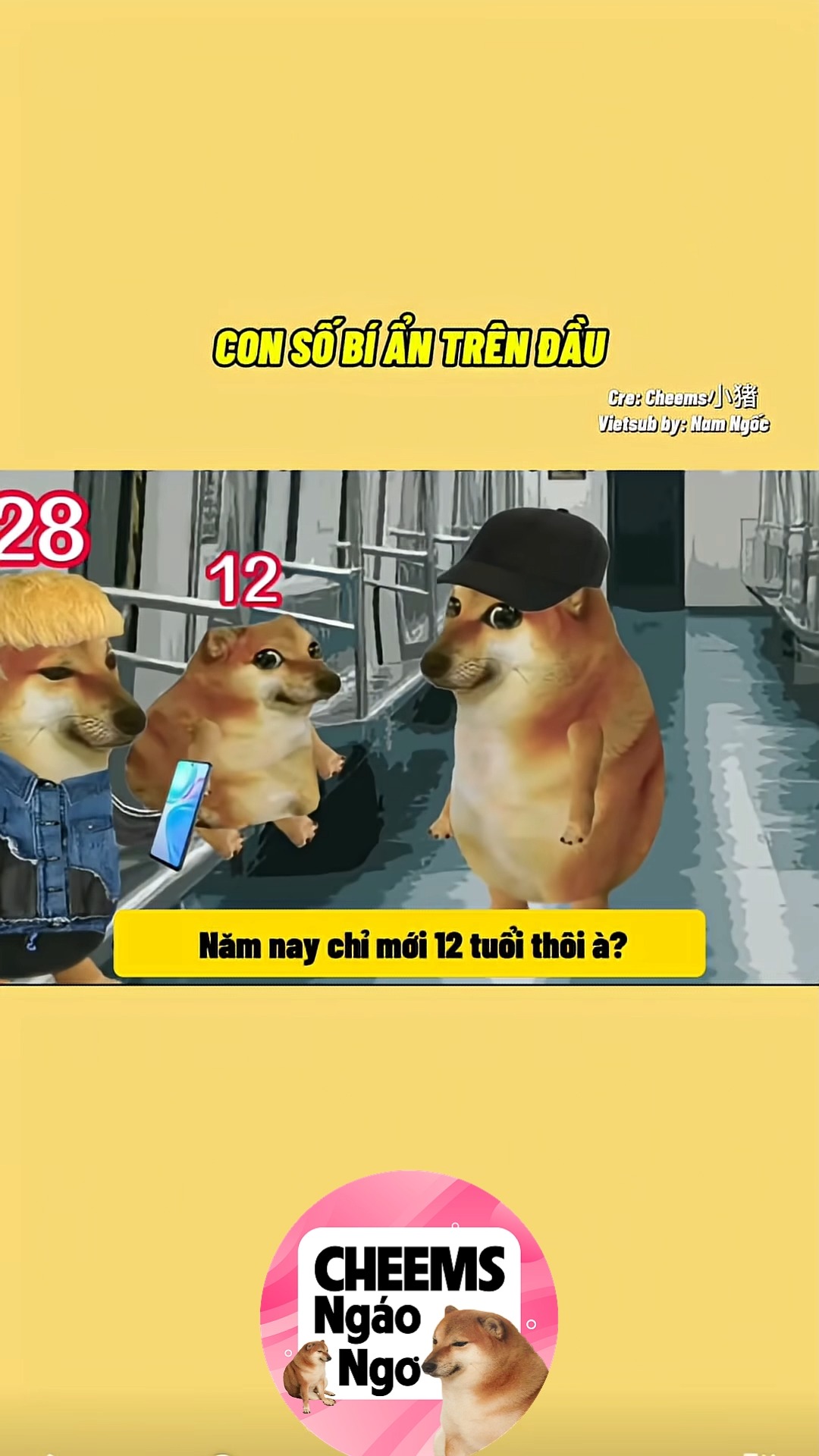 Nhập gia tùy tục #cheems #cheemsmemes #haihuoc #haihuocvuinhon #short # ...