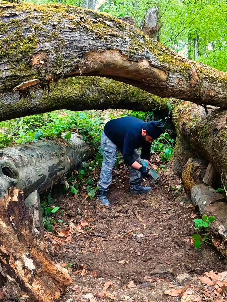 I make shelter by digging into the ground under fallen trees deep in ...