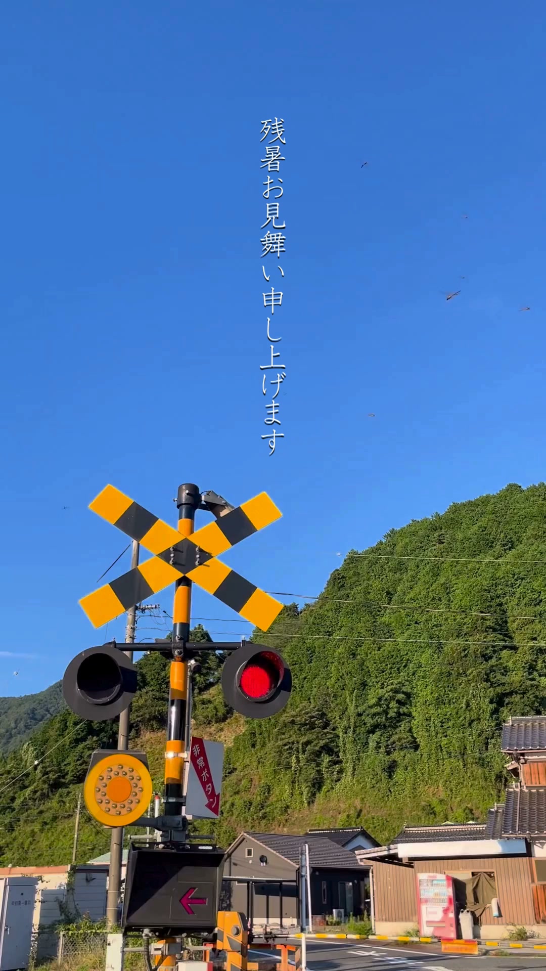 智頭町 | Yazu-gun Tottori