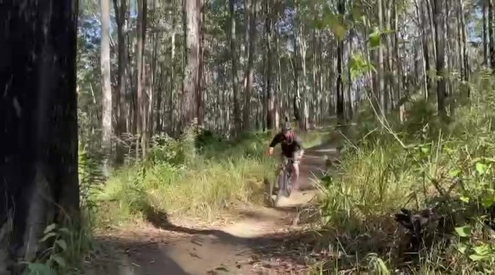 Alley Riders