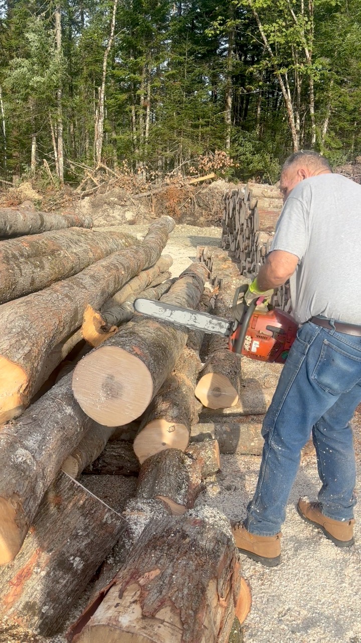 This Stihl MS261 Pro Saw Could Be Yours!! Hard Working Man Says