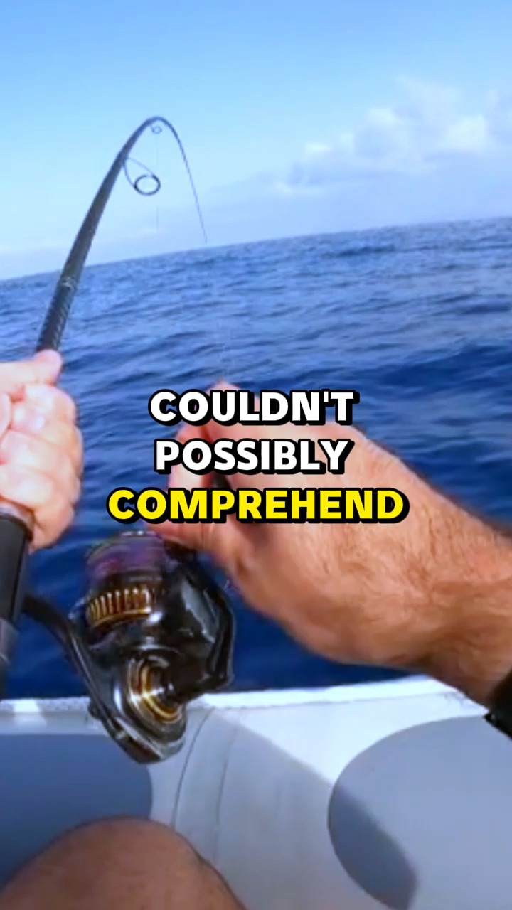 to weigh a fish a person hangs a tackle box Fishfun Rechargeable Scale, Digital Hanging Fish Weight Scale with Large Handle and Tape Measure for Fishing, Hunting, Outdoor, Farm, 110lb/50kg : Sports & Outdoors Why do they call it