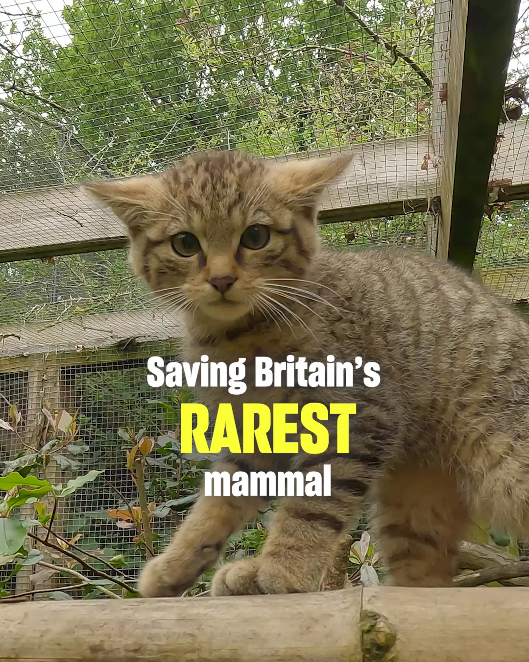 Chester Zoo on Reels | Facebook