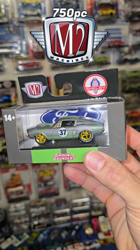 Look what showed up today, my signed by Peter Brock 65 GT 350R