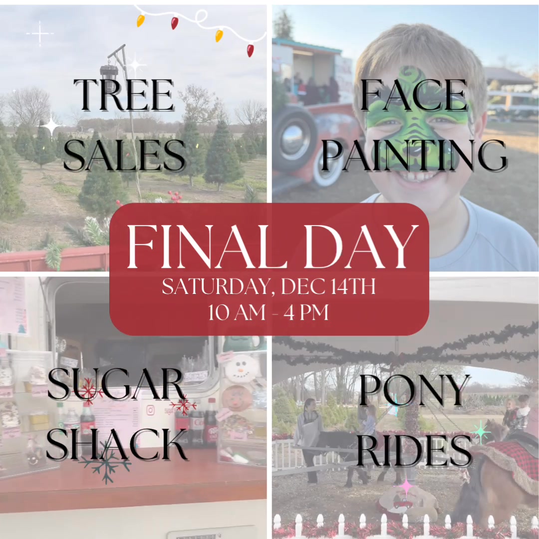 Wonderland Christmas Tree Farm | Pea Ridge AR