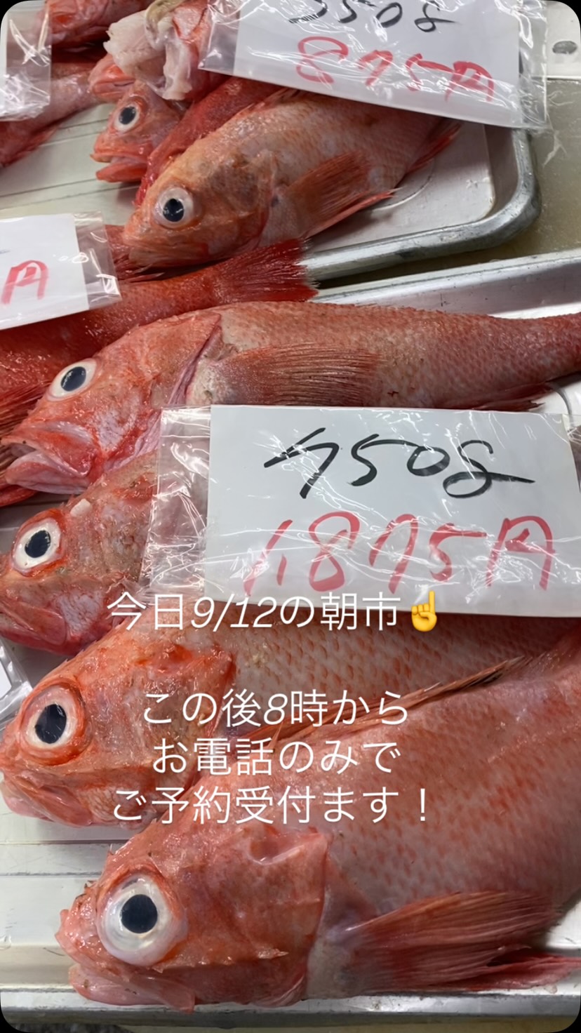 ◉追記 こちら嫁入り決まりました😊 ・・・・・ ☆SANDEN業務用冷凍