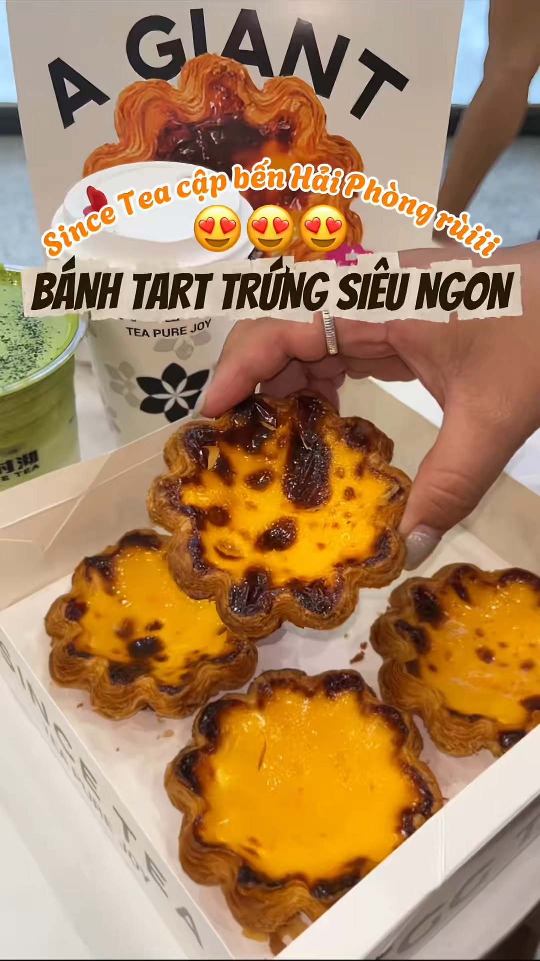 SINCE TEA CHÍNH THỨC “ĐÁP SÂN” HẢI PHÒNG 🎉 Chính thức từ tháng 10.2025 ...