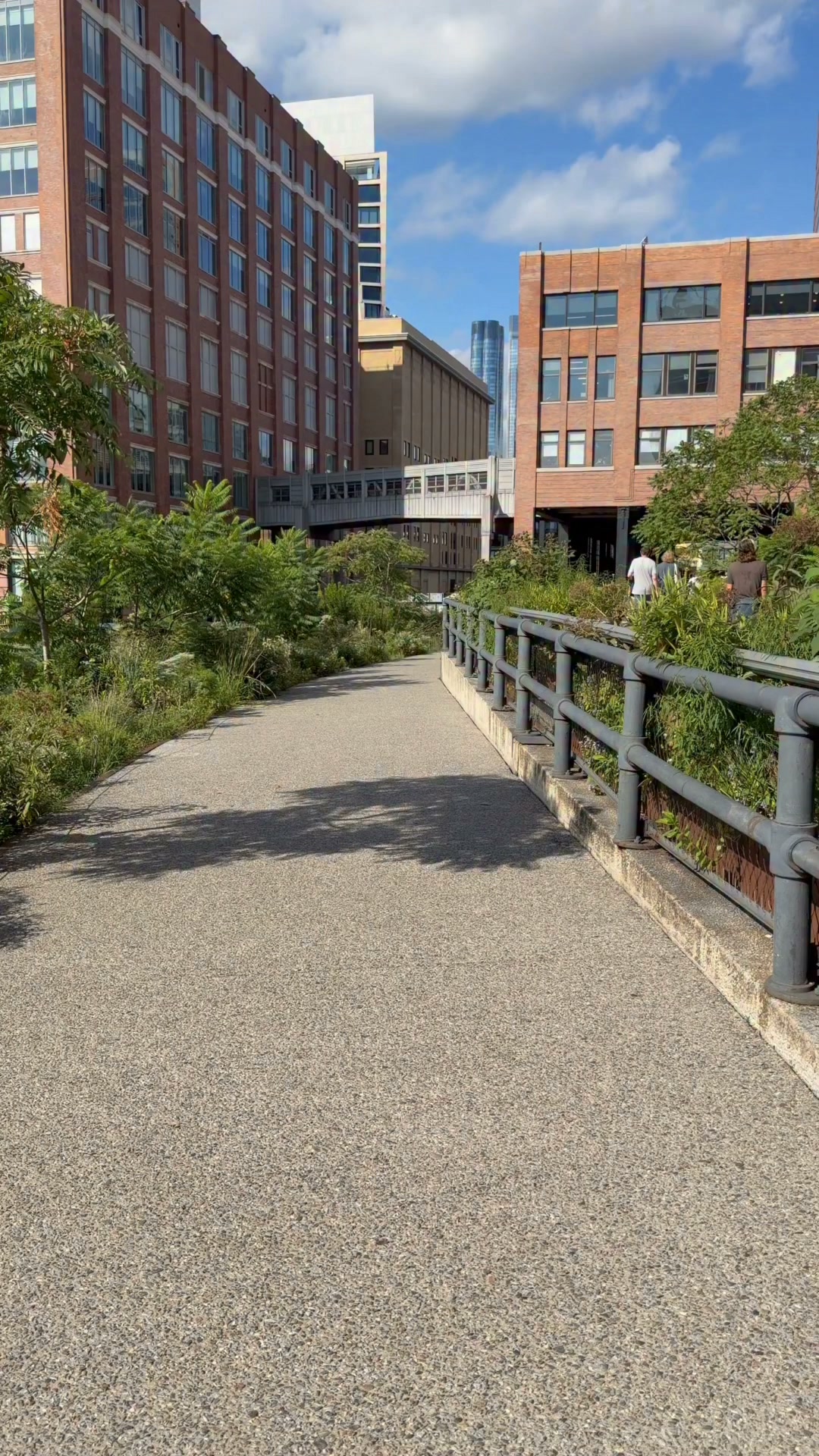 NEW on The High Line 🌿✨ From hidden overlooks and art