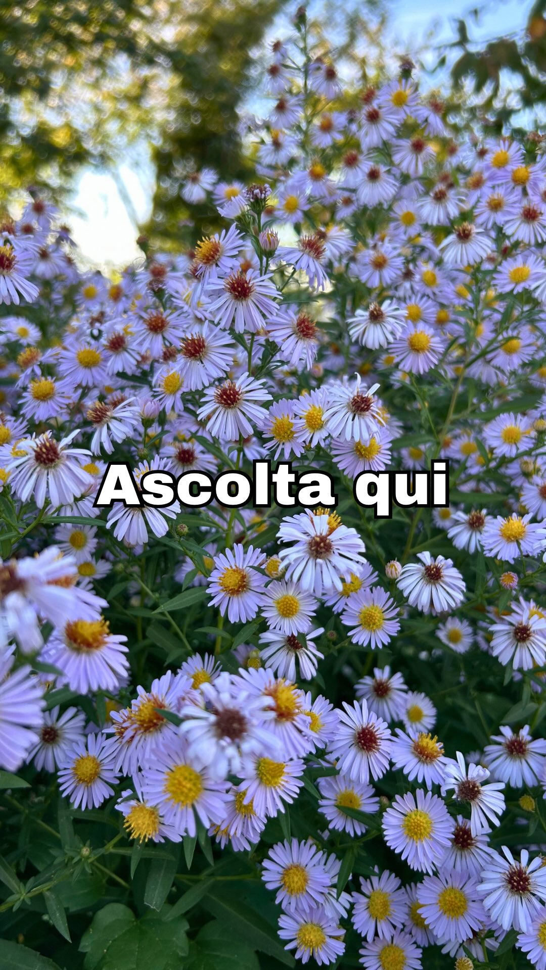 Matilde 🤍 #natura #vivereincampagna #campagna | Allevamento della Val ...
