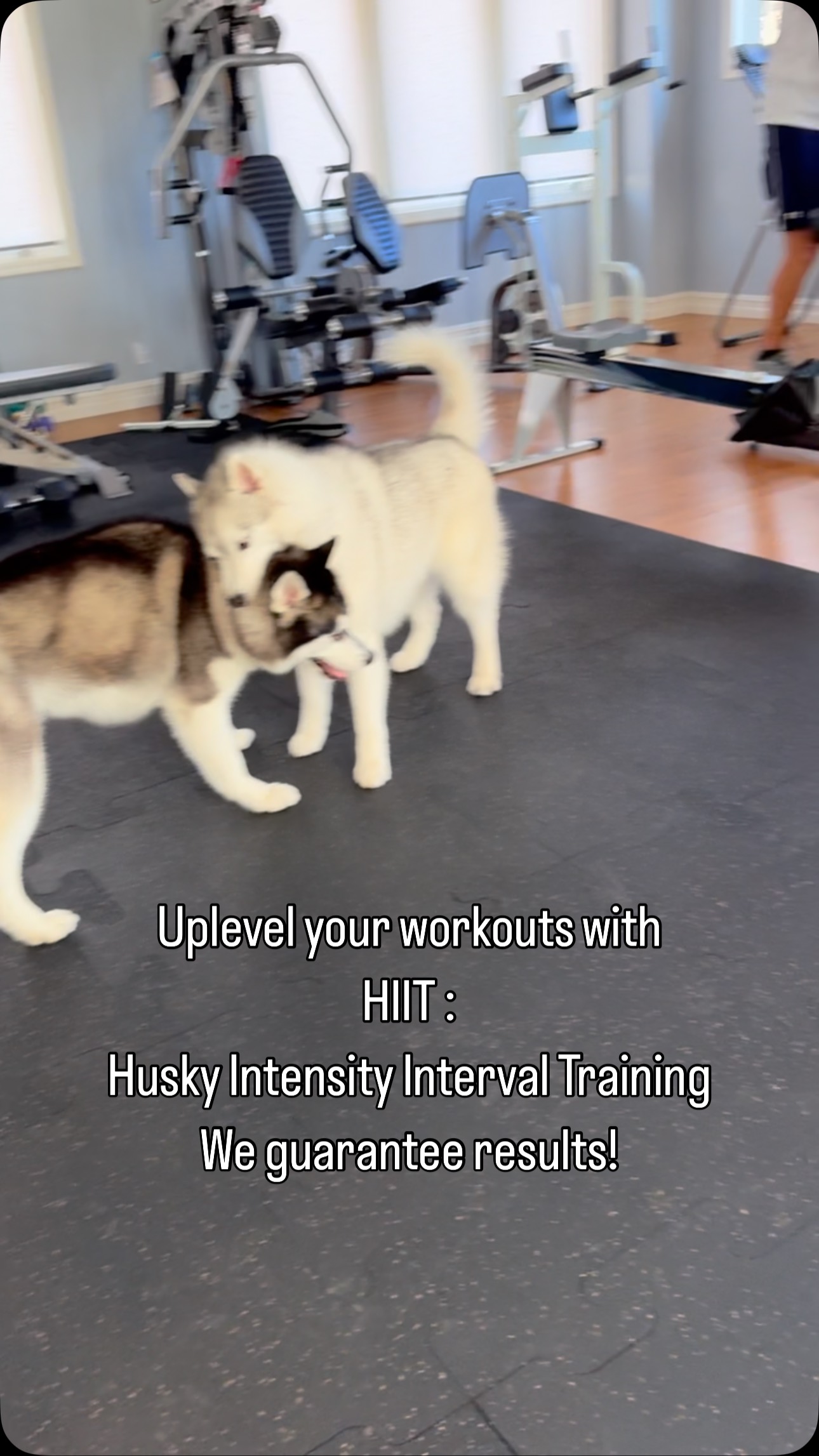 Want to transform your workouts? Try HIIT - Husky Intensity Interval ...