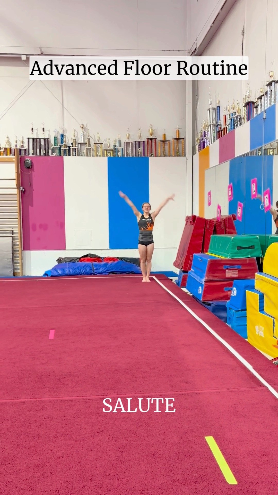 We've made it to our most advanced level of routines! Here is our 7 ...
