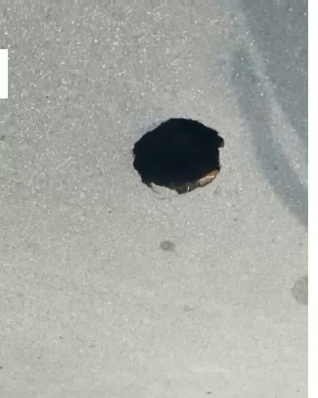 Kaum zu glauben: Mitten am Tag bricht die Teerdecke einer Straße in Steinhagen auf. Was sich darunter verbirgt, seht ihr in diesem Video. Was dahinter steckt, erfahrt ihr unter