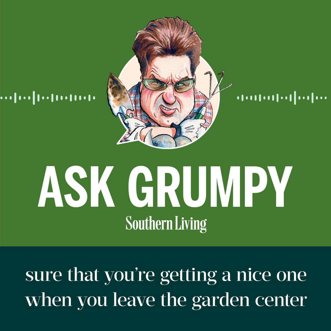 #AD Listen to Ask Grumpy every Wednesday and Saturday as Steve Bender ...
