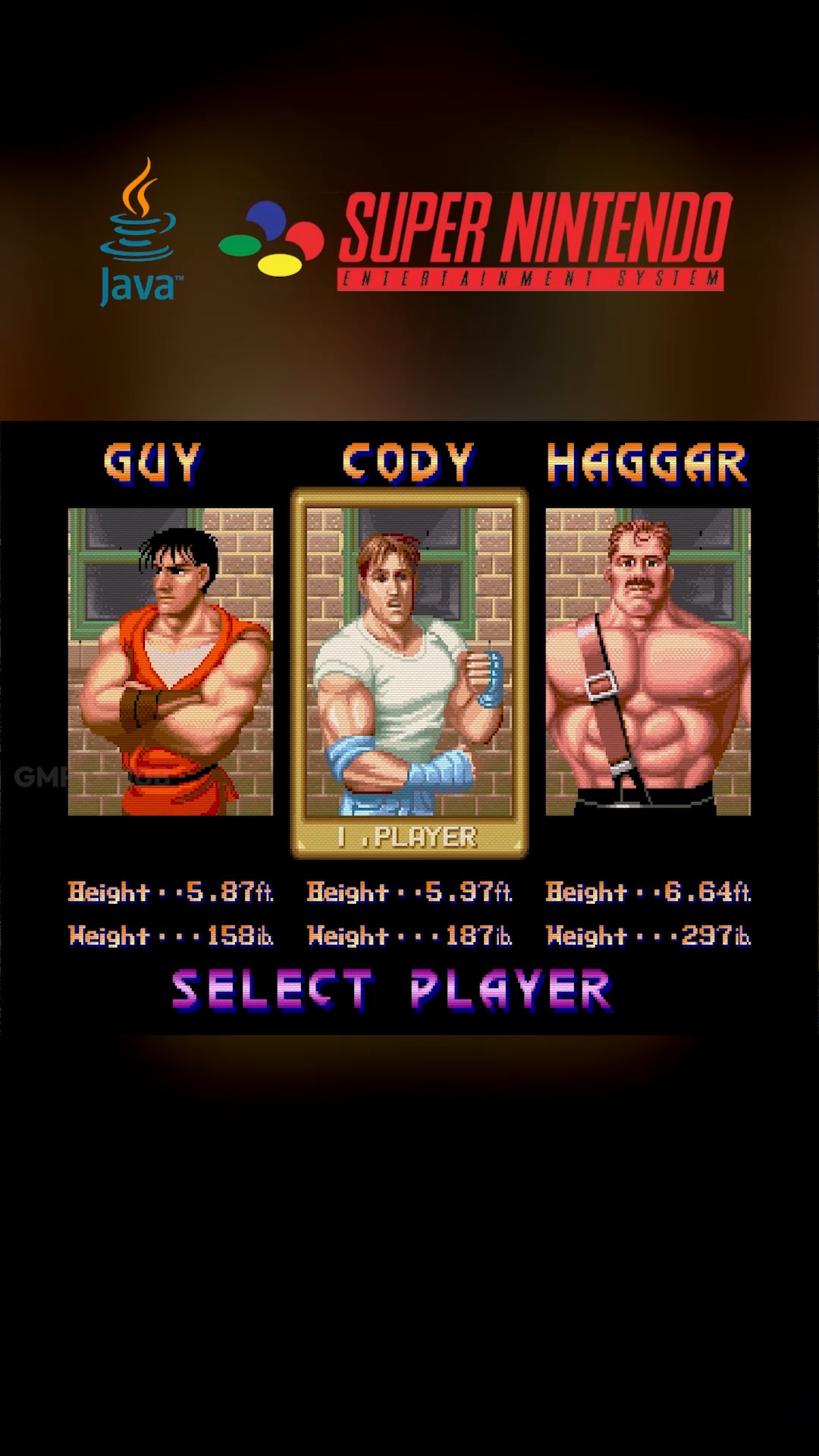 チビ Final Fight is a series of beat 'em up video games by Japanese