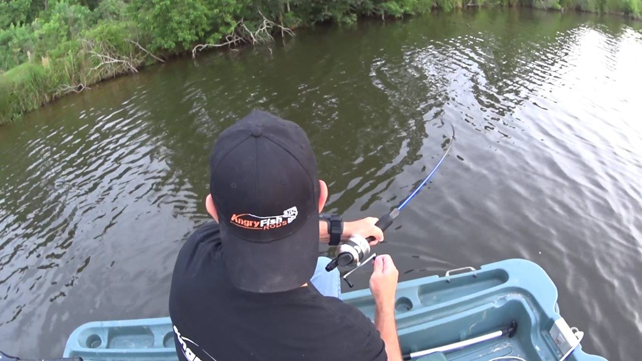 6000 series fishing reel Diwa Spinning Reels for Saltwater Freshwater 1000 2000 3000 4000 5000 Fishing Spool Left/Right Interchangeable Trout Carp Spinning Light and Smooth (1000-Black) : Sports & Outdoors Size:BGMQ8000-H L Aluminum Handle and 1000pcs Wholesale Bulk Pcs/lot Product Type:Spinning Rods