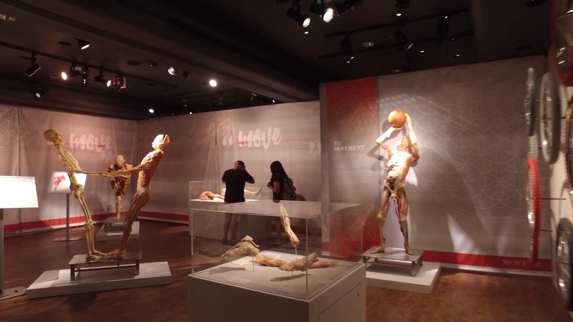 Think you have to go to Vegas to see a mind-blowing look inside the ...
