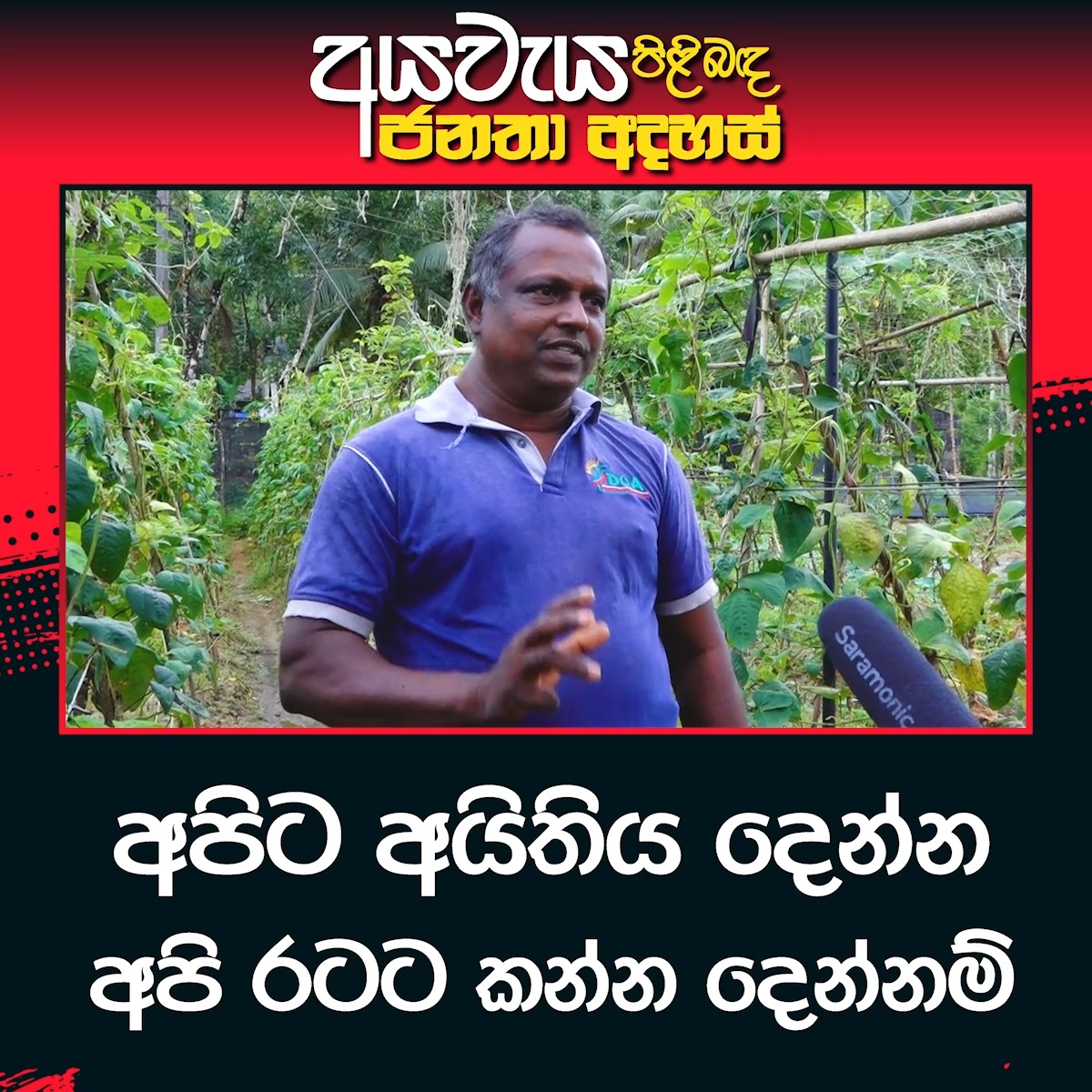 Api - අපි