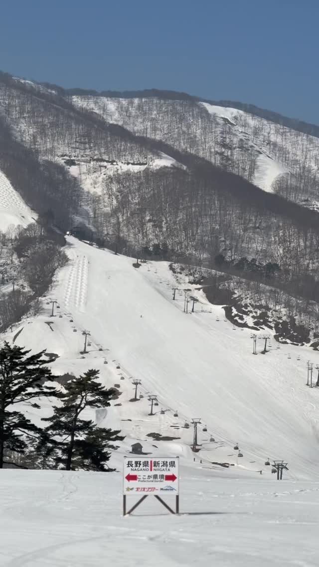斑尾高原スキー場 Madarao Mountain Resort | Iiyama-shi Nagano