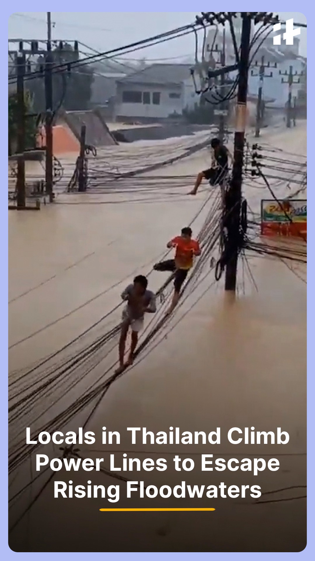 A dramatic video from Thailand shows locals climbing up power lines to ...