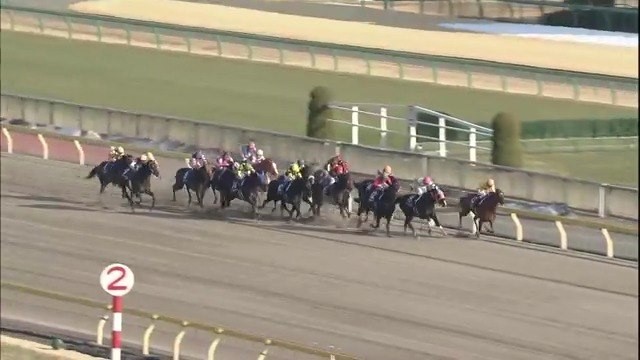2014年のフェブラリーステークス(GI)はコパノリッキーが勝利！ この年