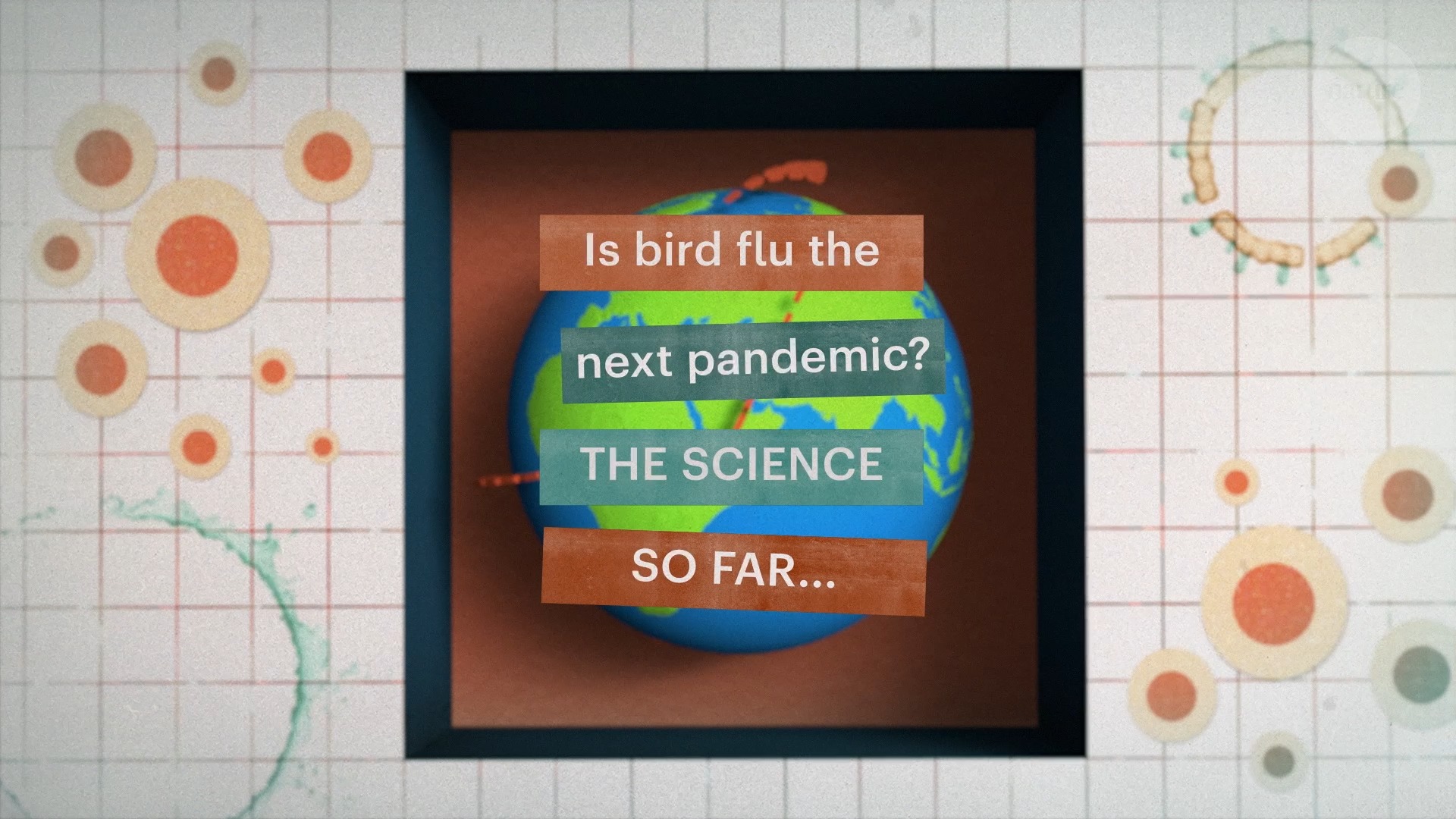 Bird flu is spreading. The avian influenza virus H5N1 has been recorded ...