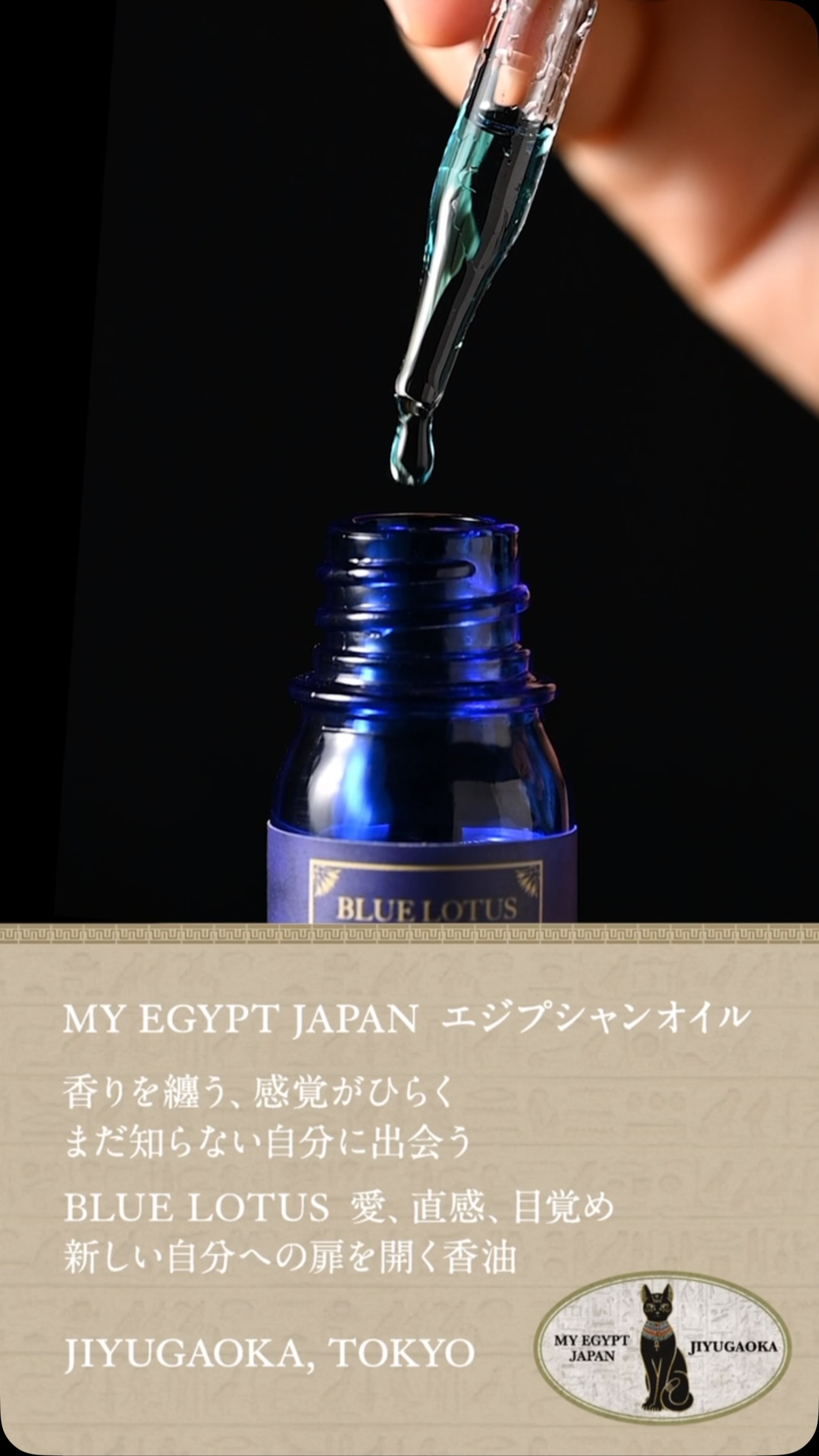 MyEgypt Japan (@Myegyptjapan) • Facebook