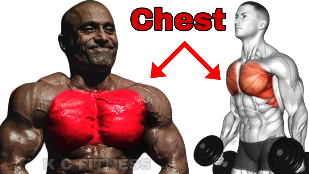 “Best Chest Workout for Muscle Growth | Build Bigger & Stronger Chest ...