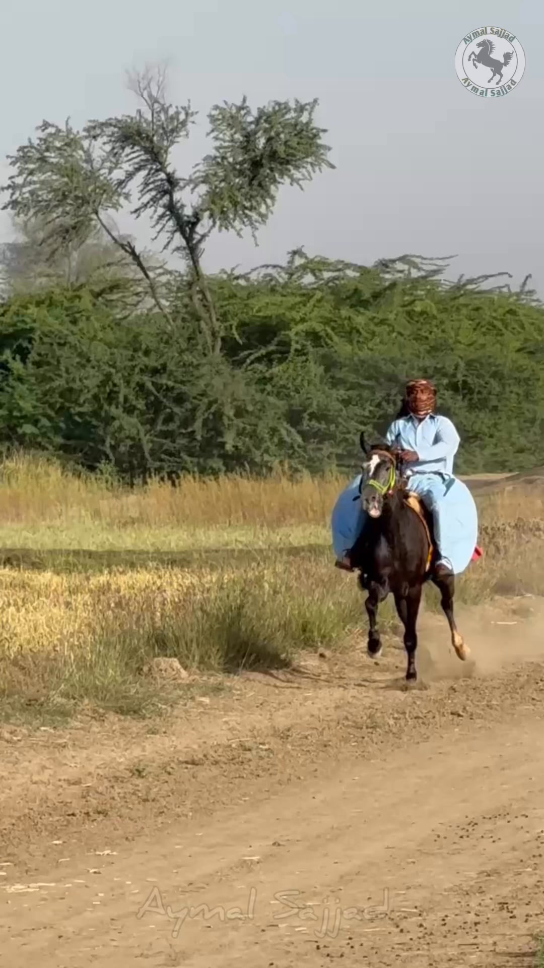Beautiful Mare Rider Ayoub | Aymal Sajjad | Facebook
