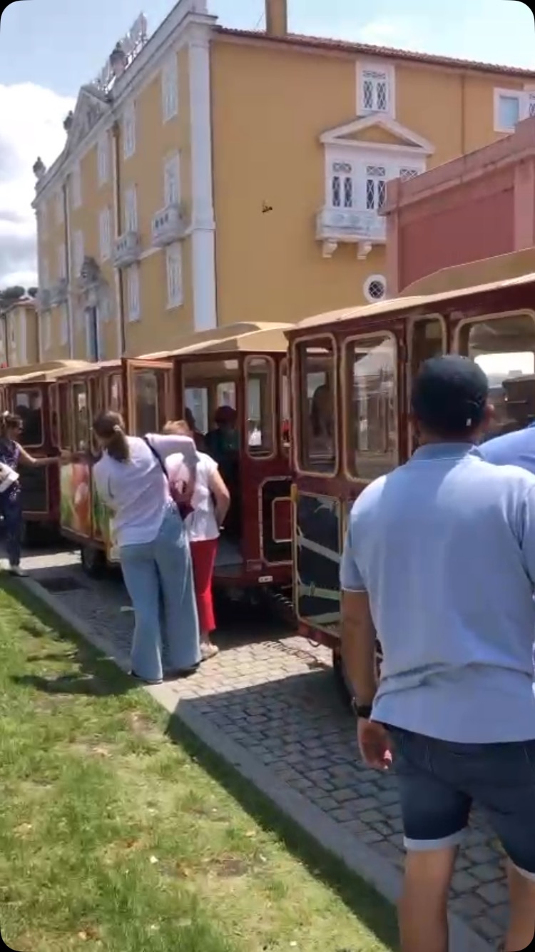 Magic Train | Porto