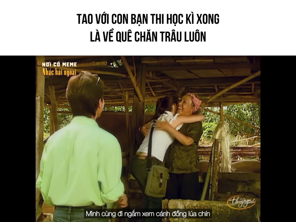 Nhớ ra ko có tiền mua trâu 💁🏻‍♀️ #noicomemenhachaingoai #ThuyNga #music ...