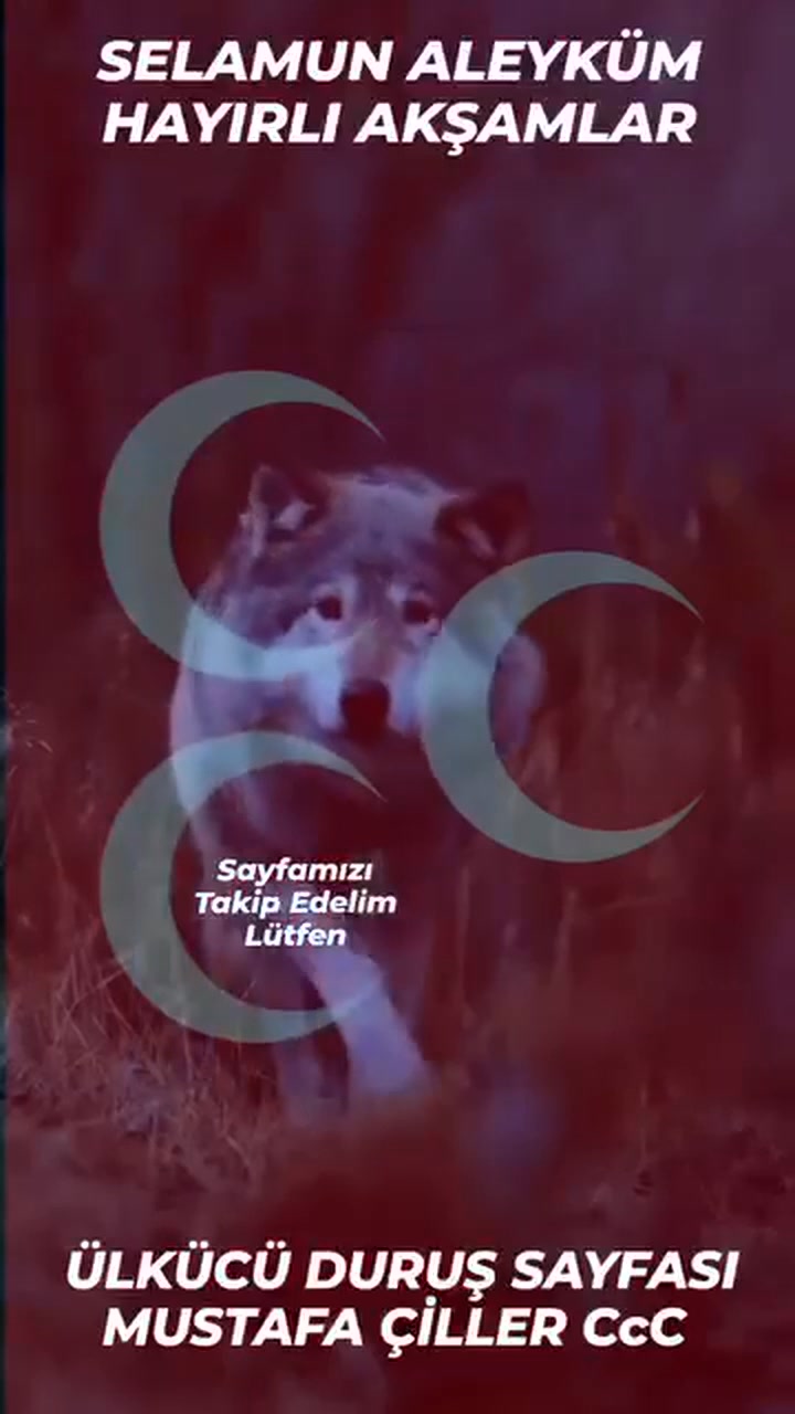 #Selamun #Aleyküm #Hayırlı #Akşamlar #CcC | Mustafa Çiller | Facebook