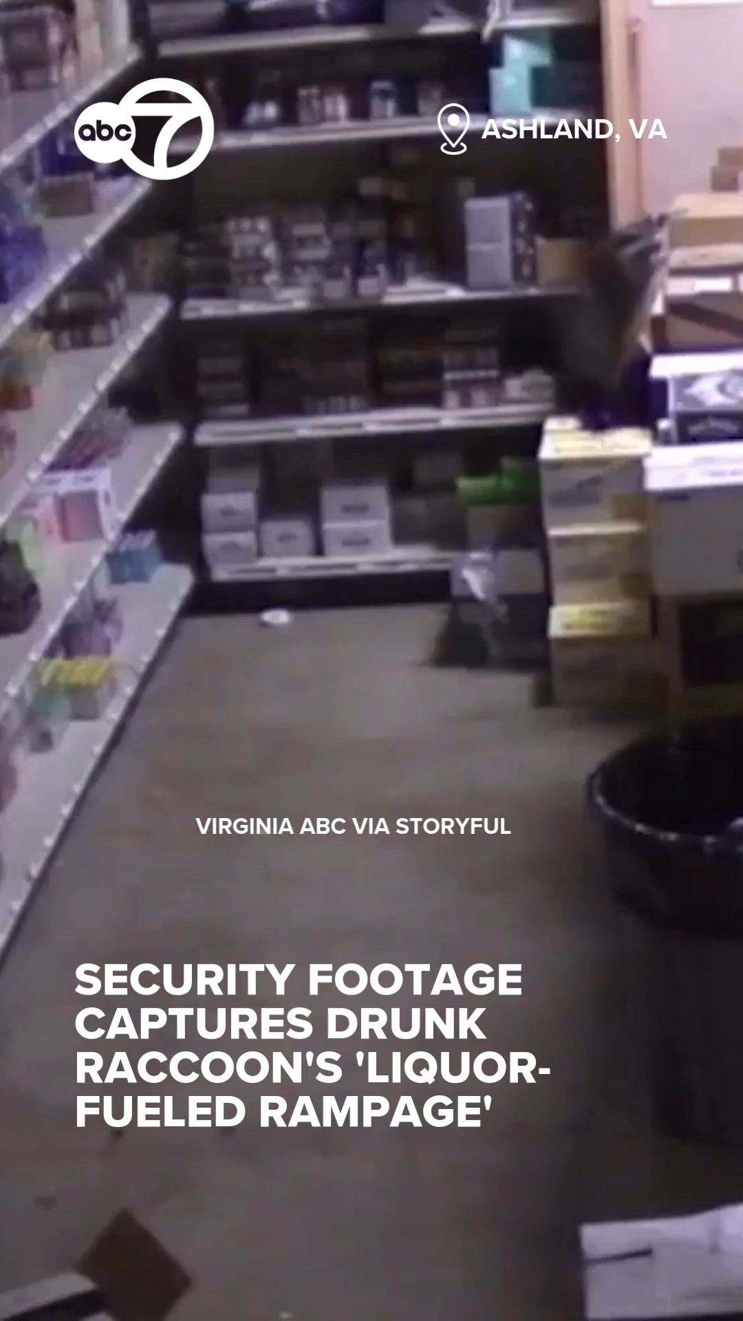 Security footage captured the trail of destruction that a “very ...