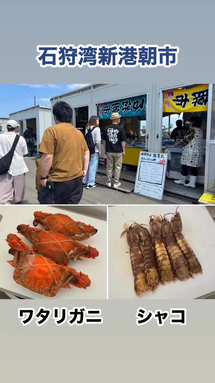 石狩 湾 新港 朝市