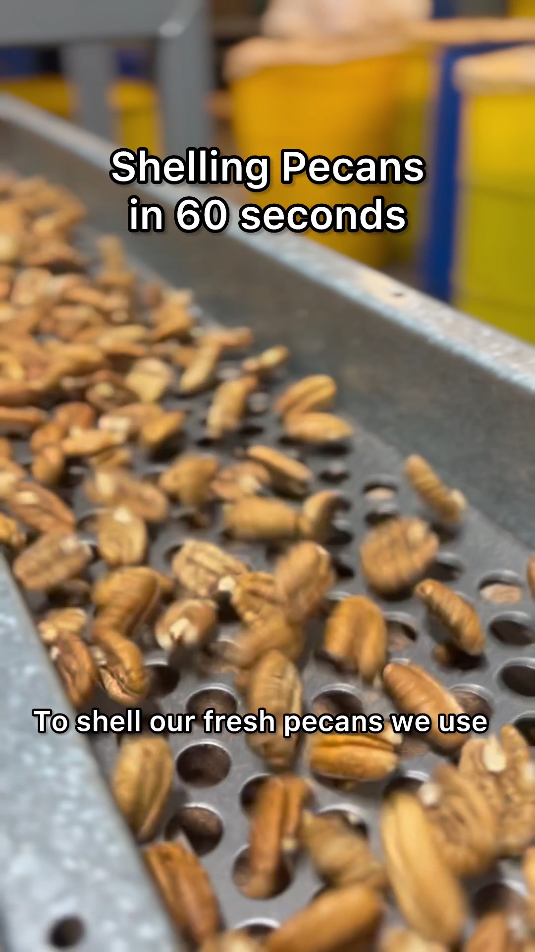 Don't try this at home😉 Here's how we take our pecans from in-shell ...