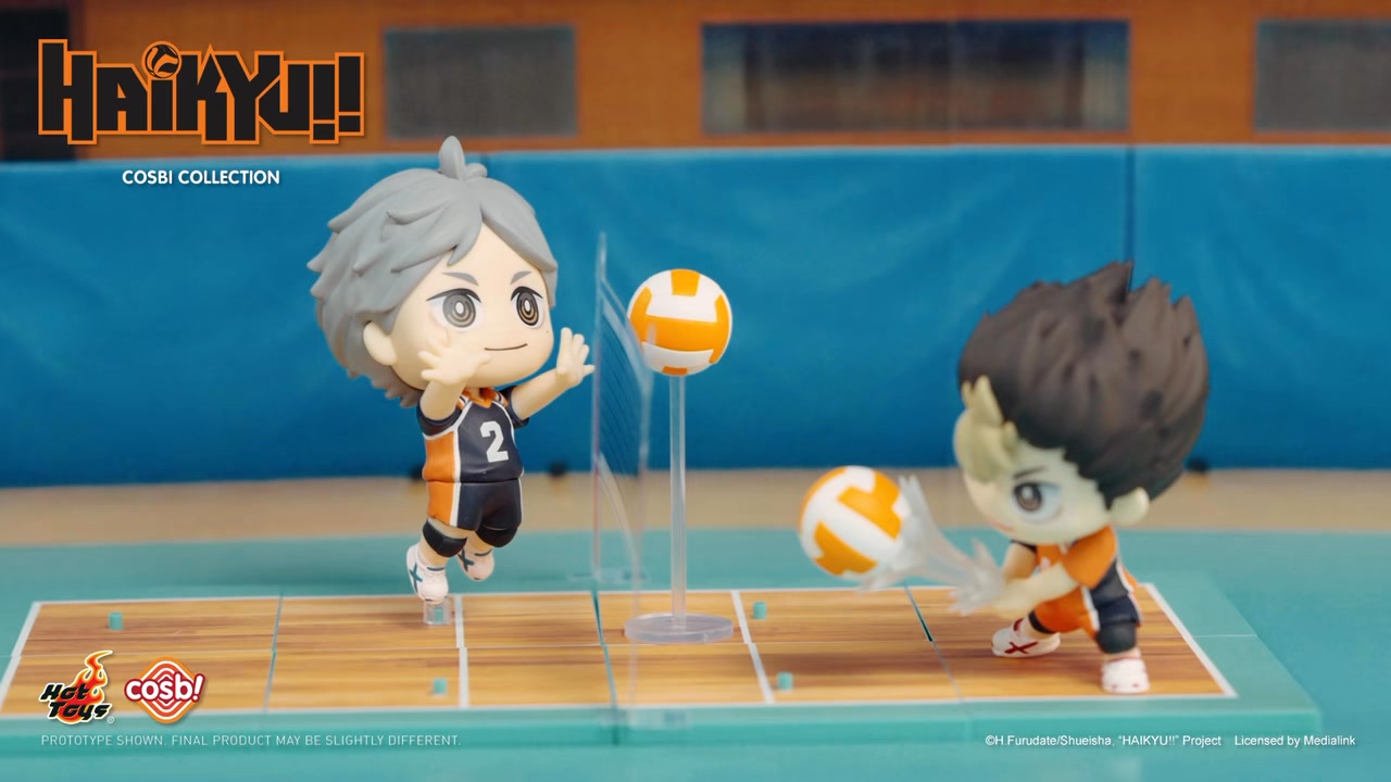 Get ready to bring home the spirit of teamwork with the 
