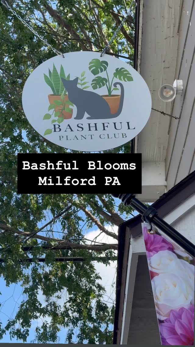 その他 Bashful Bloom sign Bashful Blooms | Milford PA