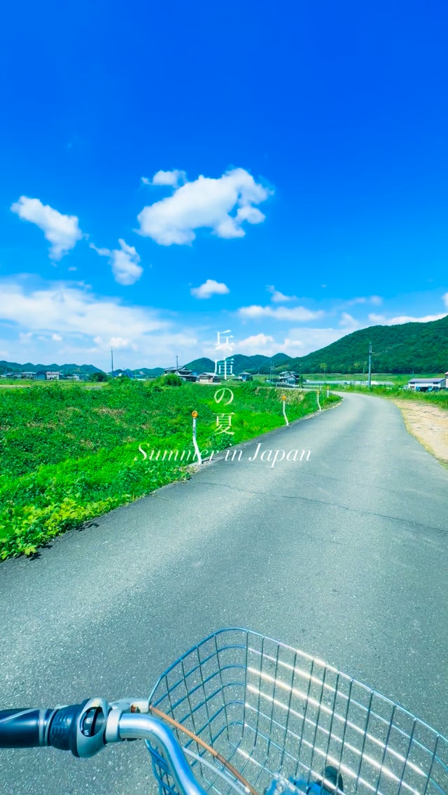 雲を掴む #japan #일본 #田舎 #夏 #summer | Inakadesuka
