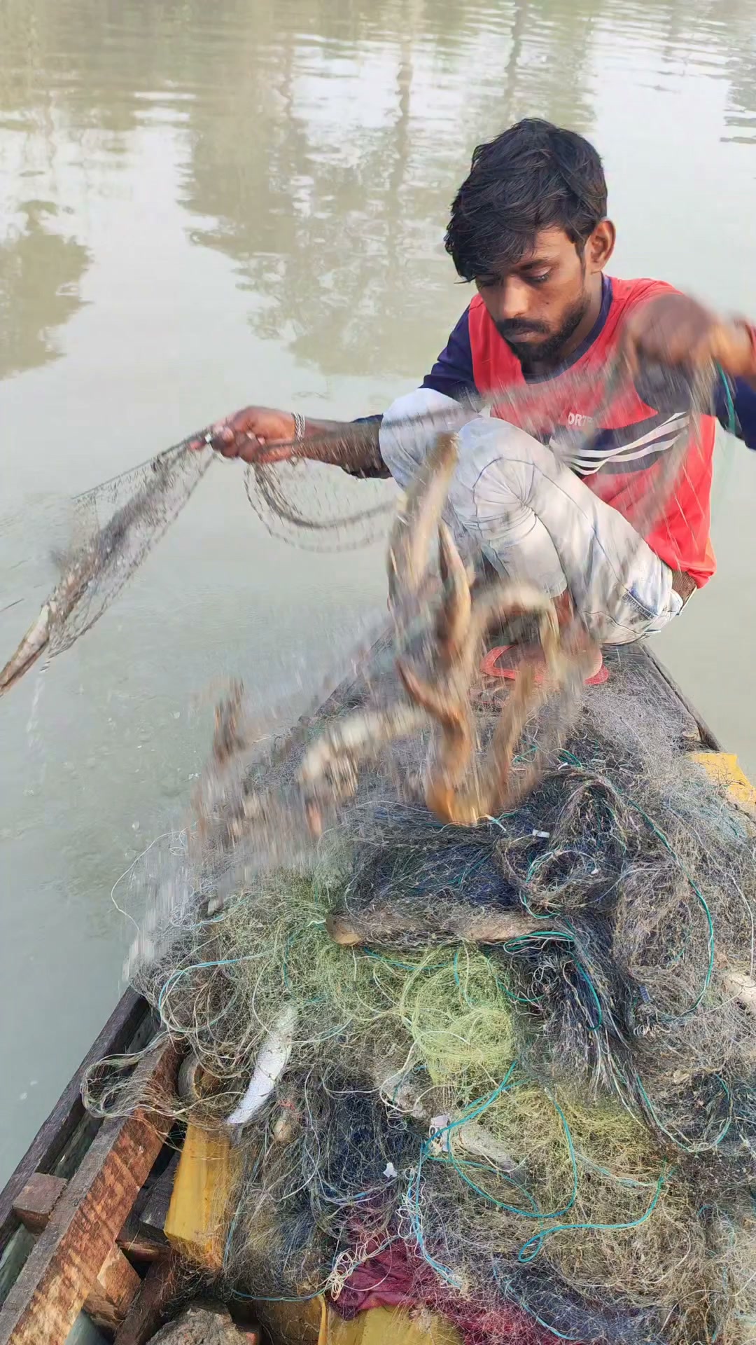 big fish hunting by net from bugdhani BLISSWILL Large Fishing with Handle Collapsible Landing with Extendable Handle Knotless Nylon Fishing Safe Fish Net Durable Telescopic Dip Foldable : Sports & Outdoors Amezing Net Fishing Best Baam