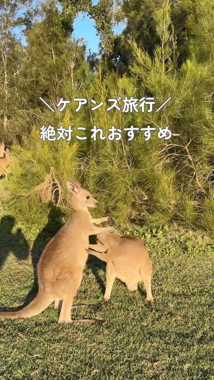 ジェイさんツアー (@Jaysantour) • Facebook
