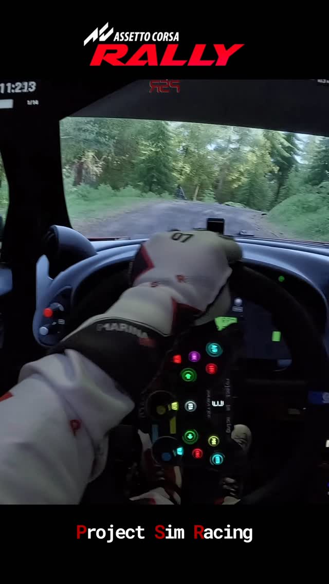 Assetto Corsa Rally x Full Motion Triple Screen Sim Racing Setup x ...
