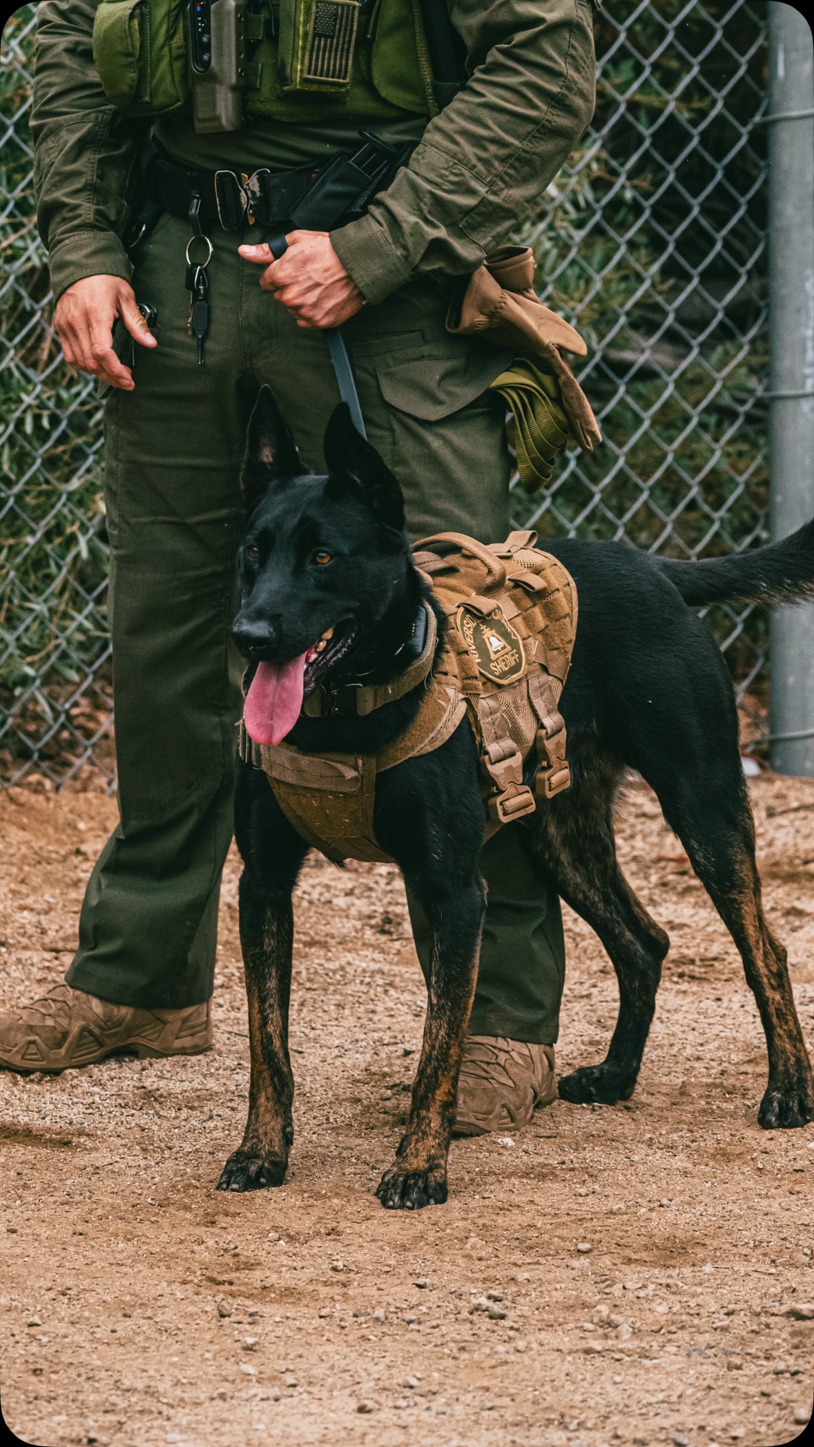 Riverside County Sheriffs' K-9 Team