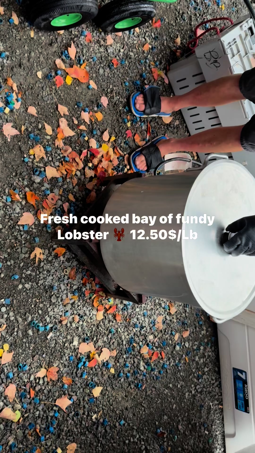 Just cooked another fresh batch of bay of fundy Lobster 🦞 lots of ...