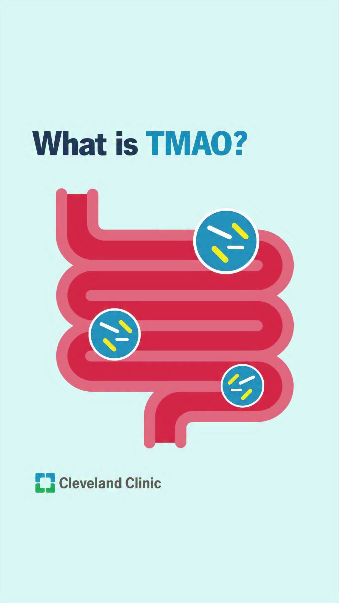 cleveland clinic l-carnitine study Research into TMAO, or trimethylamine N-oxide, has revealed its connection to some serious heart, vessel and kidney diseases when high levels of the compound are detected in the body., The information Flavour:Sea Salt Lychee Flavour Dietary thiols in exercise: VO2 Max
