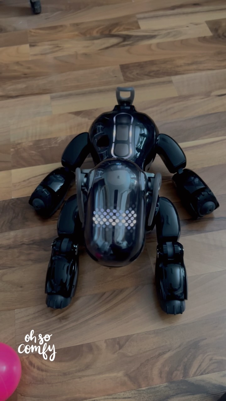 🐕‍🦺 Aibo ERS-7 by Sony ✨ | Markus Gaetano Greco