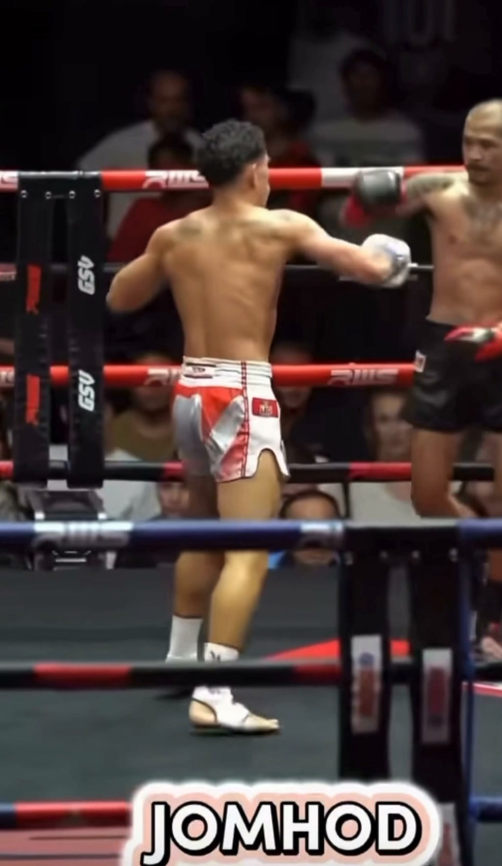 Twins vs yokkao vs fairtex?