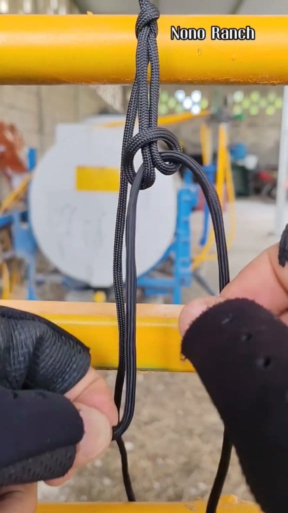 Aprende esta práctica forma de hacer el nudo de trailero 😉💯 NONO RANCH ...