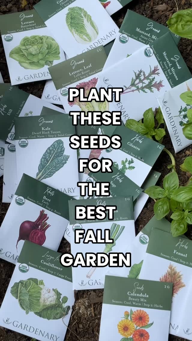 Fall garden dreams start now. If you want a harvest that hits just ...