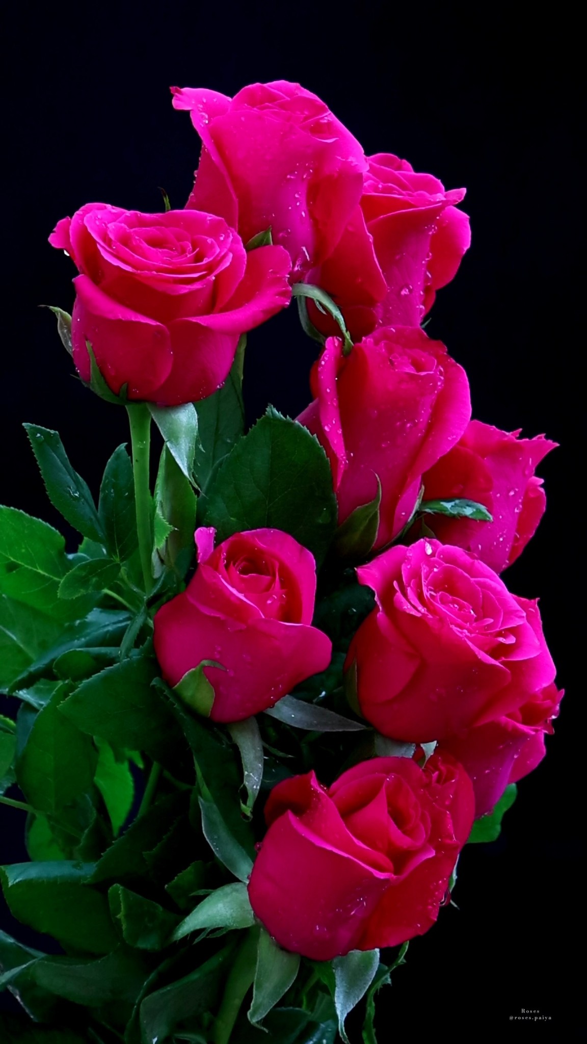 #reels #roses #rosebouquet #flowers | Roses | Facebook
