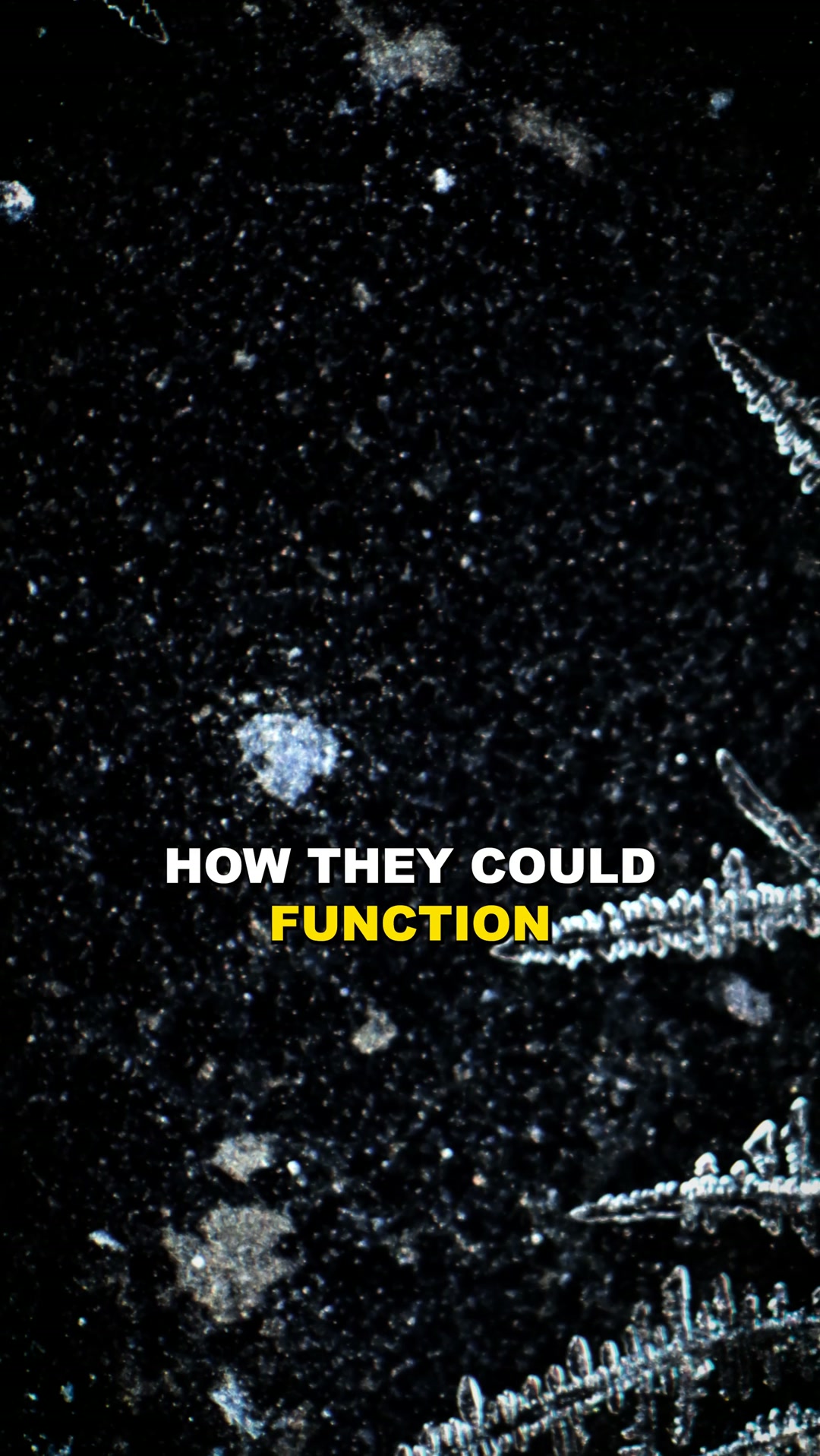 The Universe Is WAY Stranger Than You Think… And Physics Might